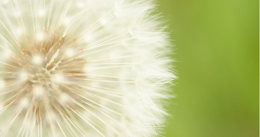 精液検査（DFI検査） | 内科・泌尿器科 窪田医院（神奈川県厚木市緑ケ丘）